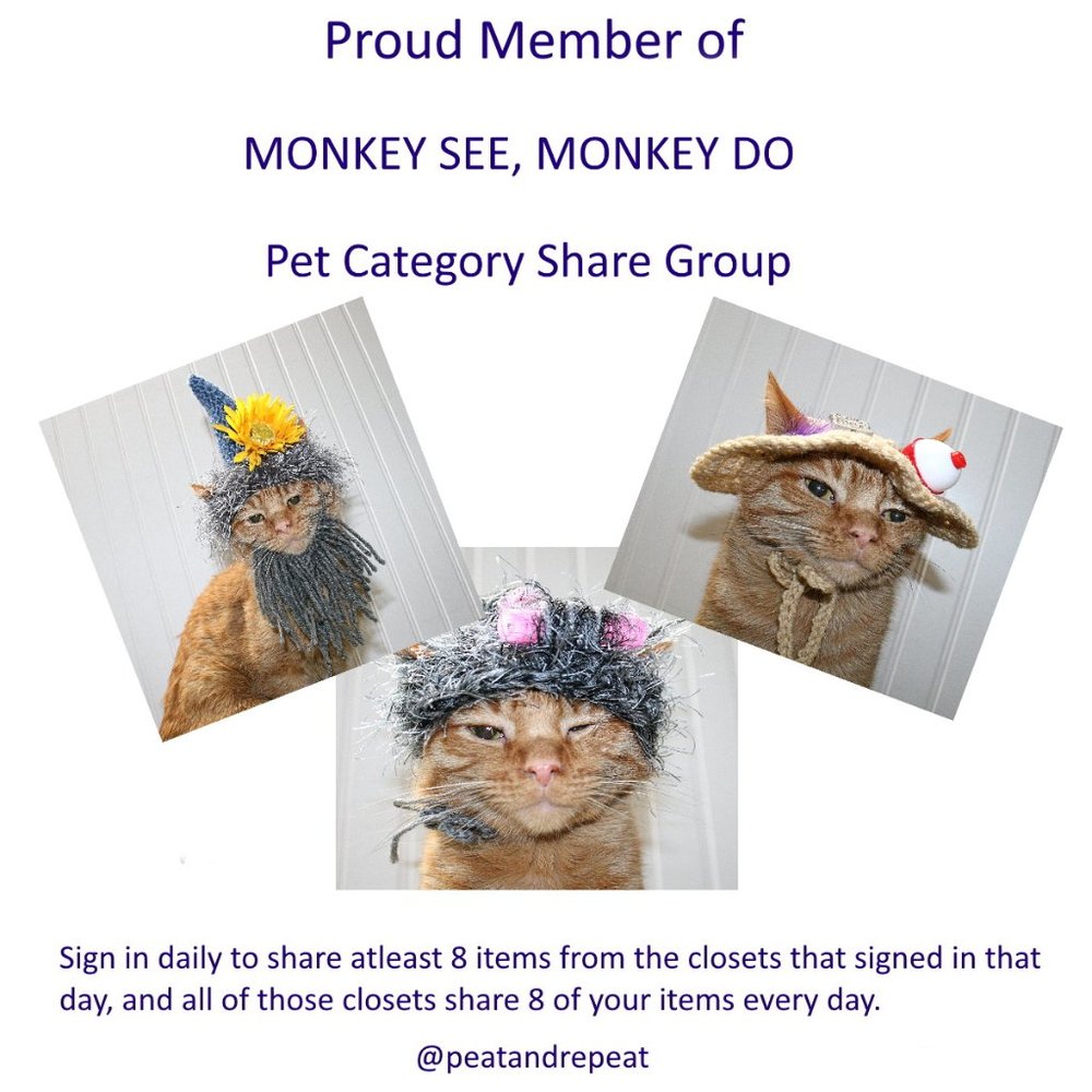 Saturday 9-3-2022 Dog Cat Small Animal Pet Category Share/Discussion Group - Picture 2 of 6